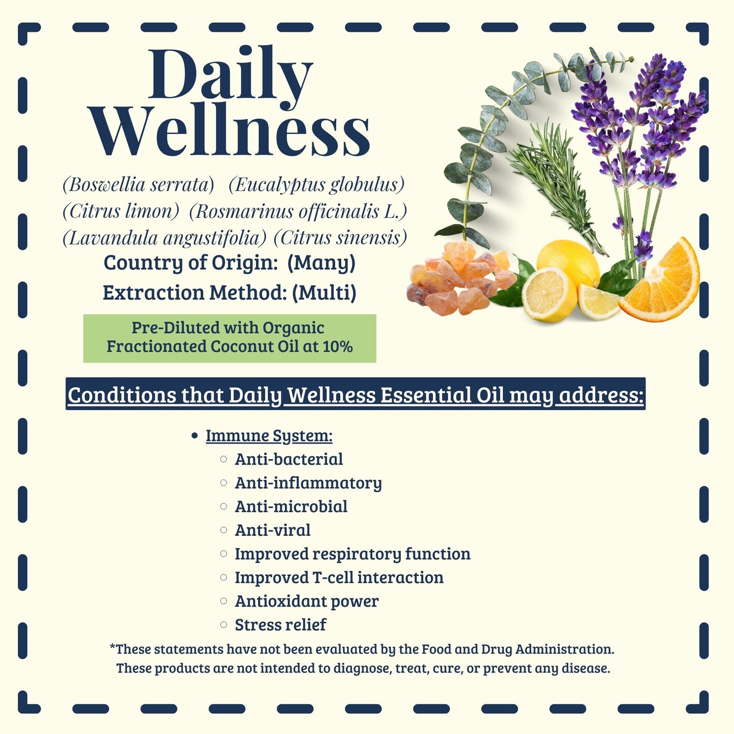 Daily Wellness essential oil blend traditional immune support uses – Diffuse It® by Essential for Wellness