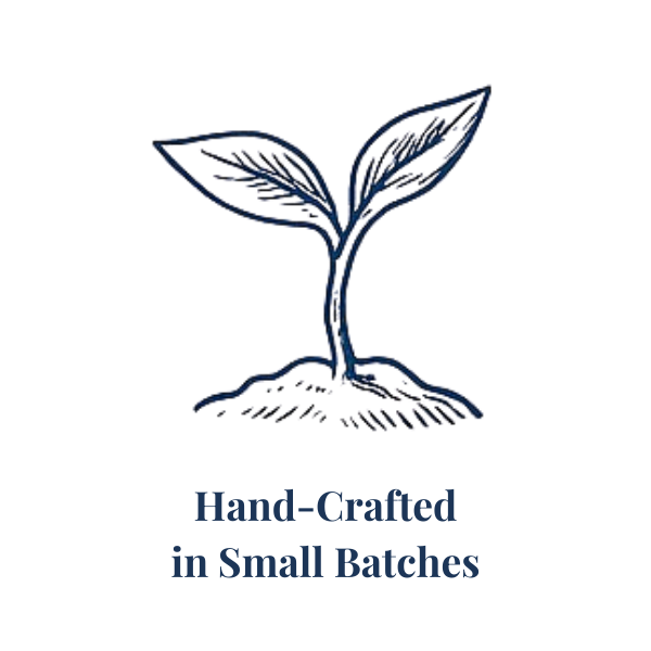 Blue sketched sprout representing small-batch essential oil blends for Essential for Wellness