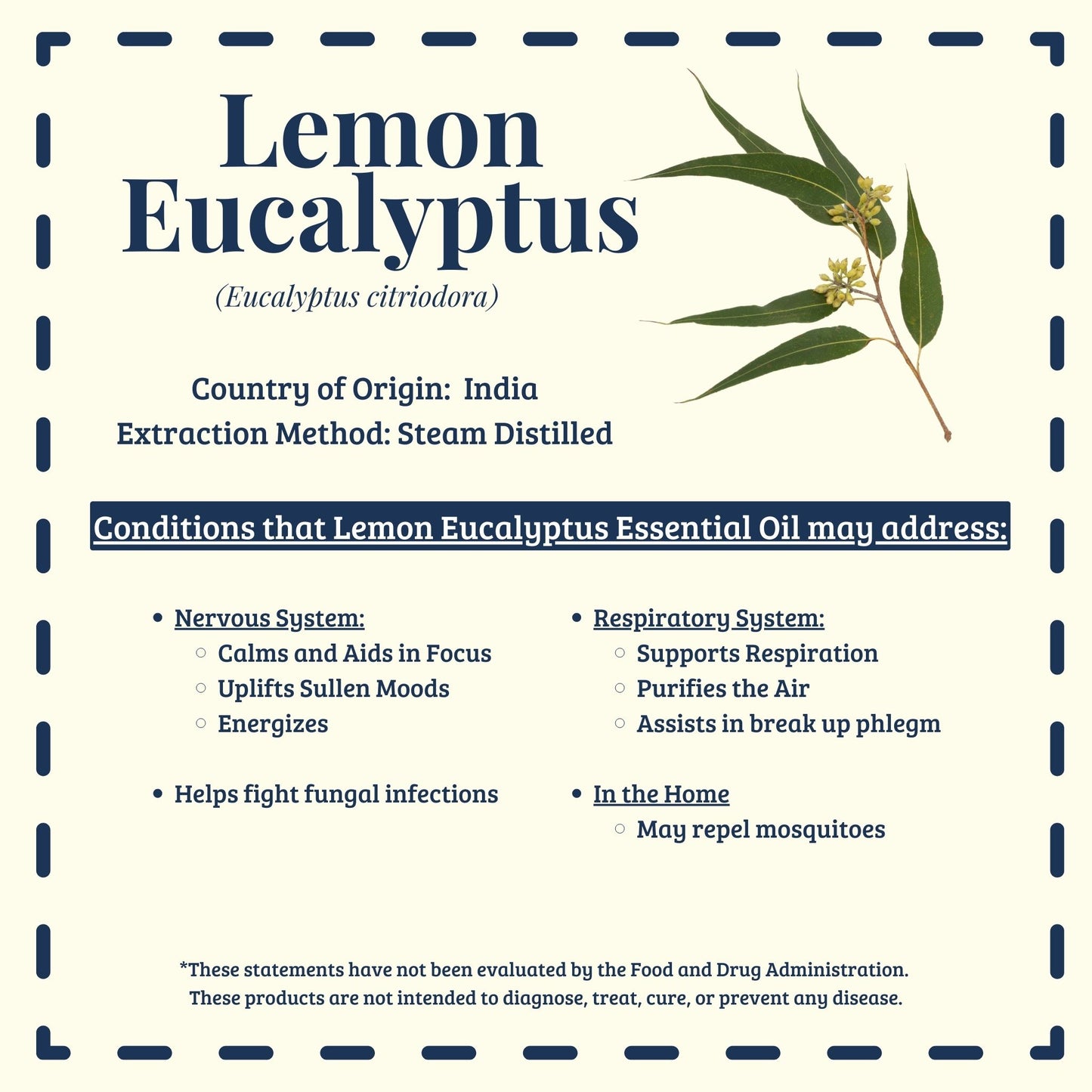 Lemon eucalyptus essential oil traditional uses for respiratory support and refreshing clarity – Diffuse It® by Essential for Wellness