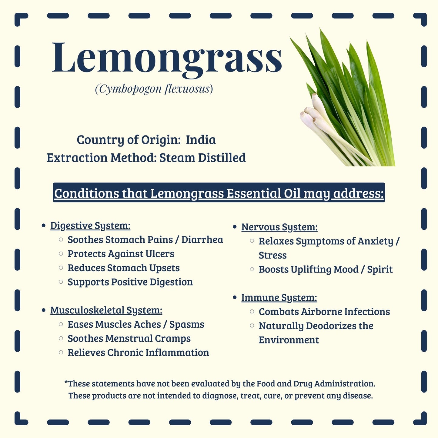 Lemongrass essential oil traditional digestive and calming uses – Diffuse It® by Essential for Wellness