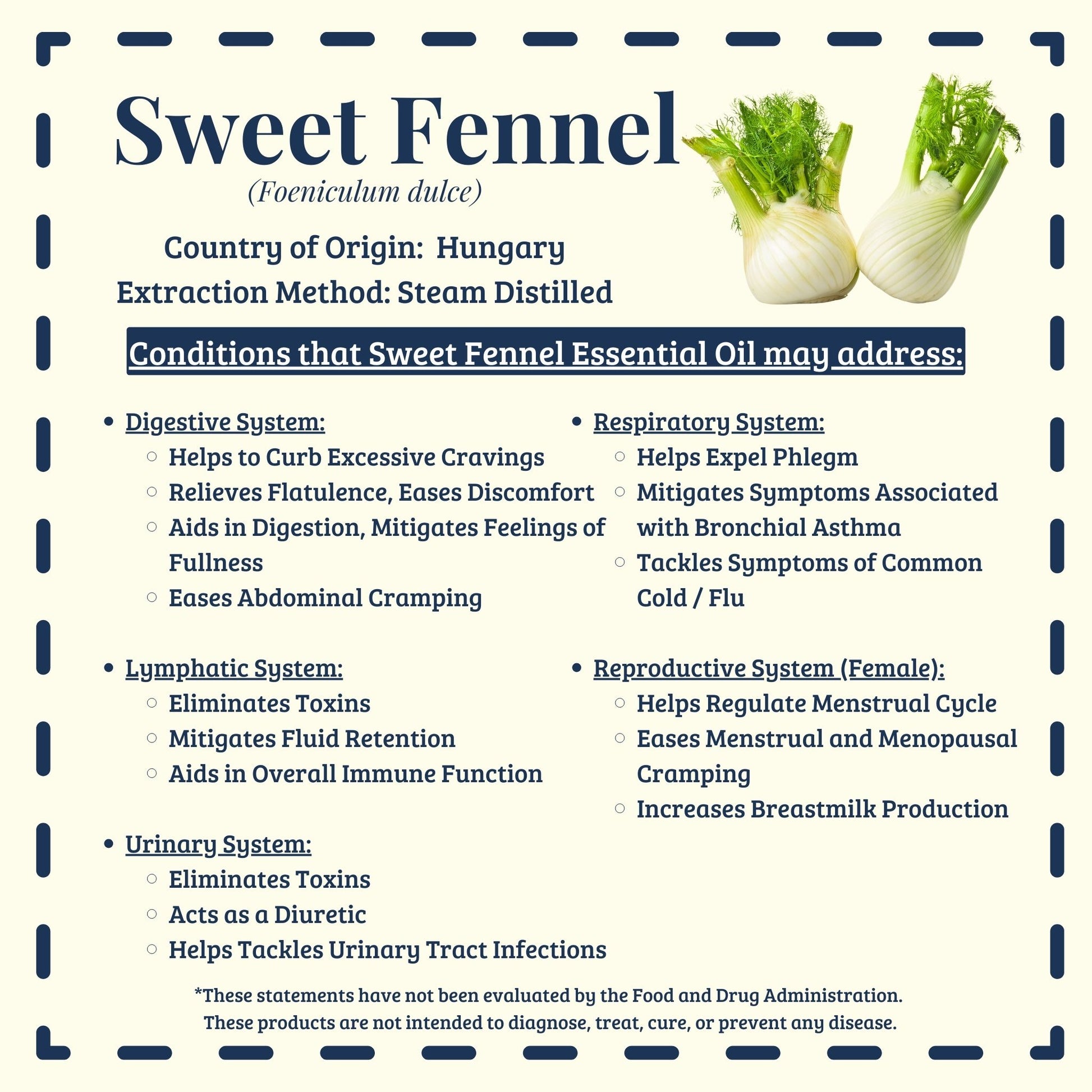 Sweet fennel essential oil traditional hormone and digestion support – Diffuse It® by Essential for Wellness