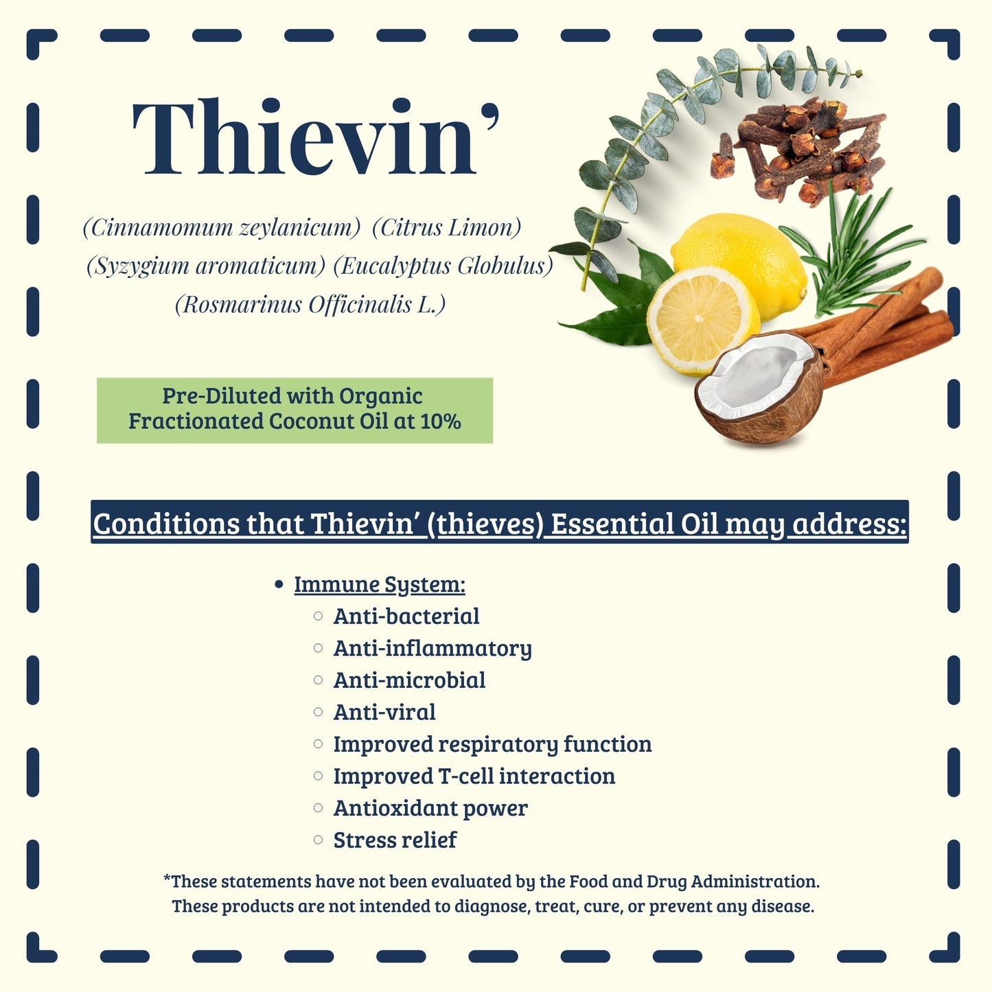 Thievin' essential oil blend traditional uses and immune support history – Ready to Roll® by Essential for Wellness