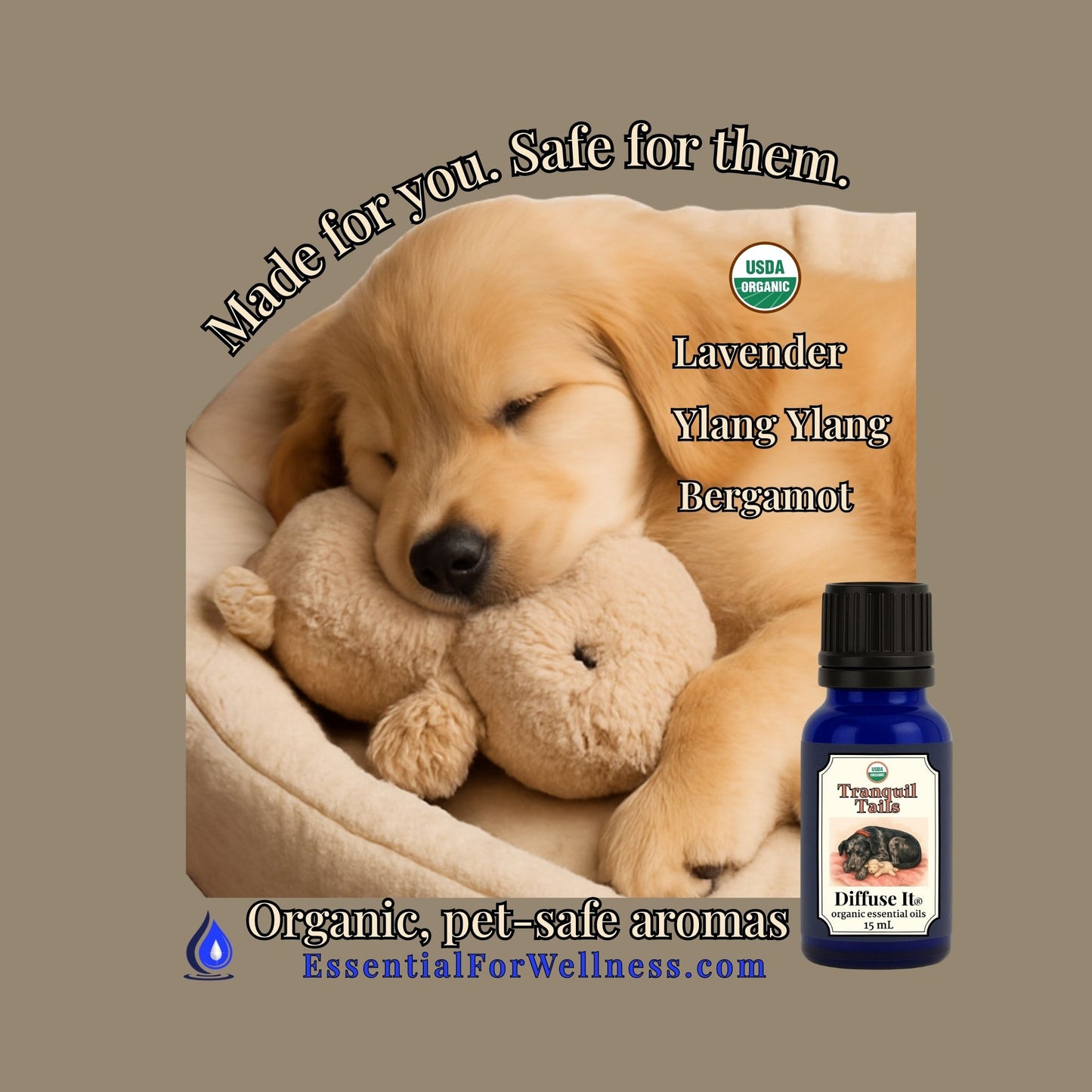 Dog with a teddy bear and a bottle of essential oil on a brown background