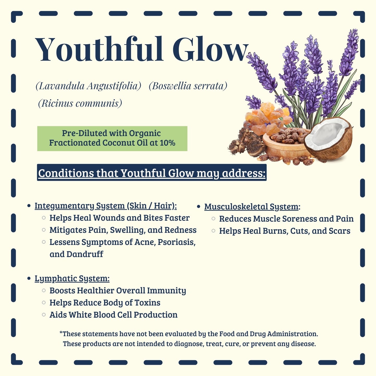 Youthful Glow essential oil blend traditional uses for skin rejuvenation – Ready to Roll® by Essential for Wellness