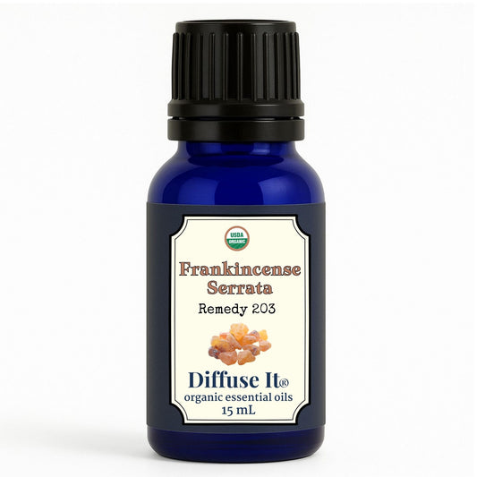 Cobalt blue 15 mL bottle of Diffuse It® Organic Frankincense Serrata essential oil by Essential for Wellness Organic Essential Oils