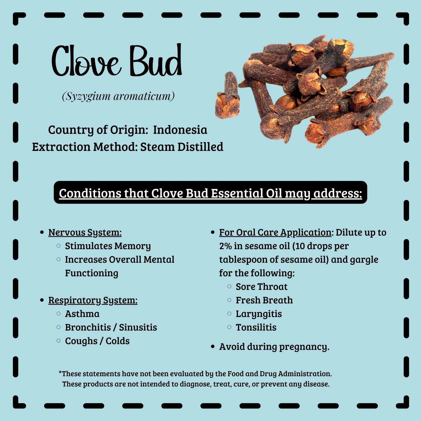 Clove Essential Oil Benefits Including Oral Care