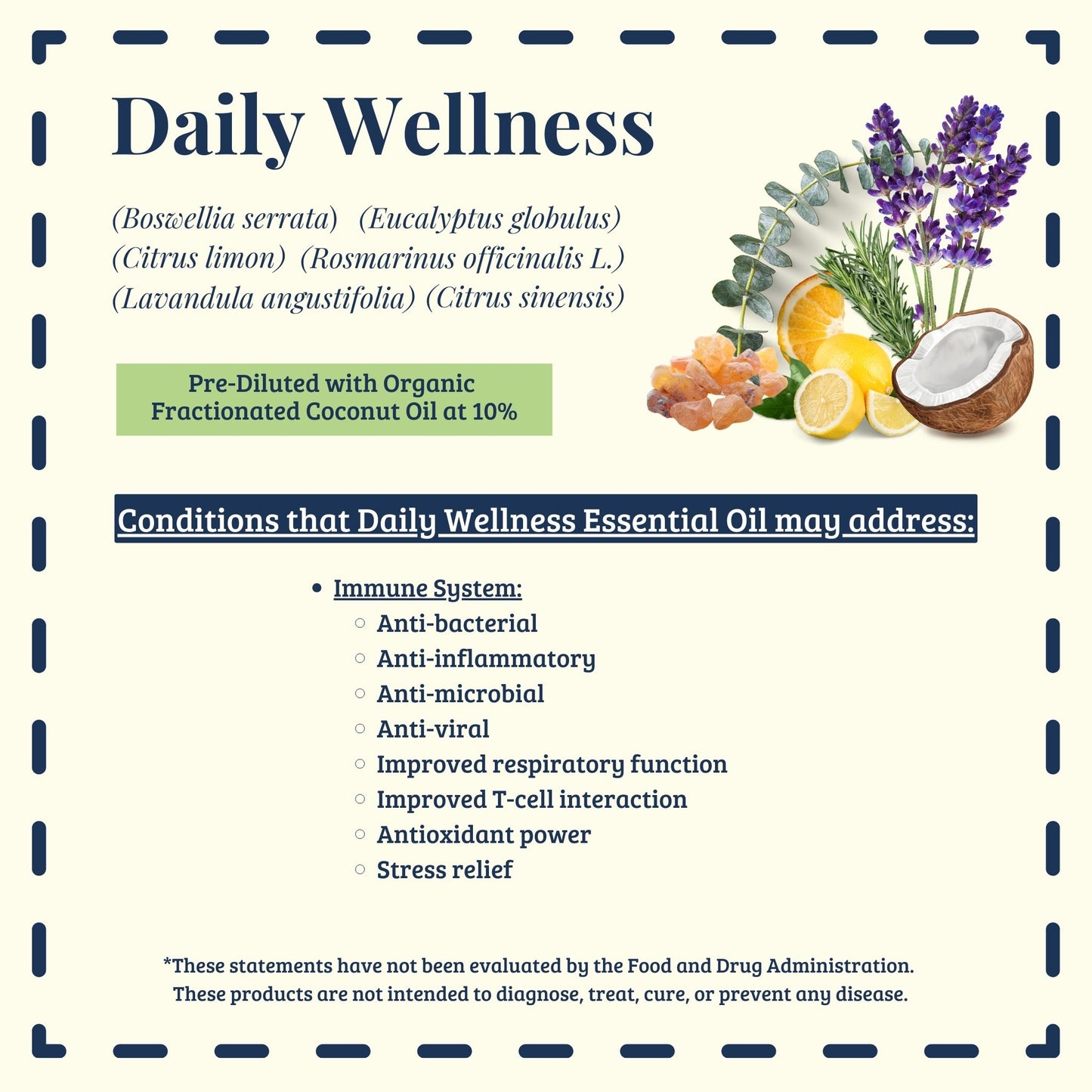 Daily Wellness traditional uses and essential oil properties – Ready to Roll® by Essential for Wellness