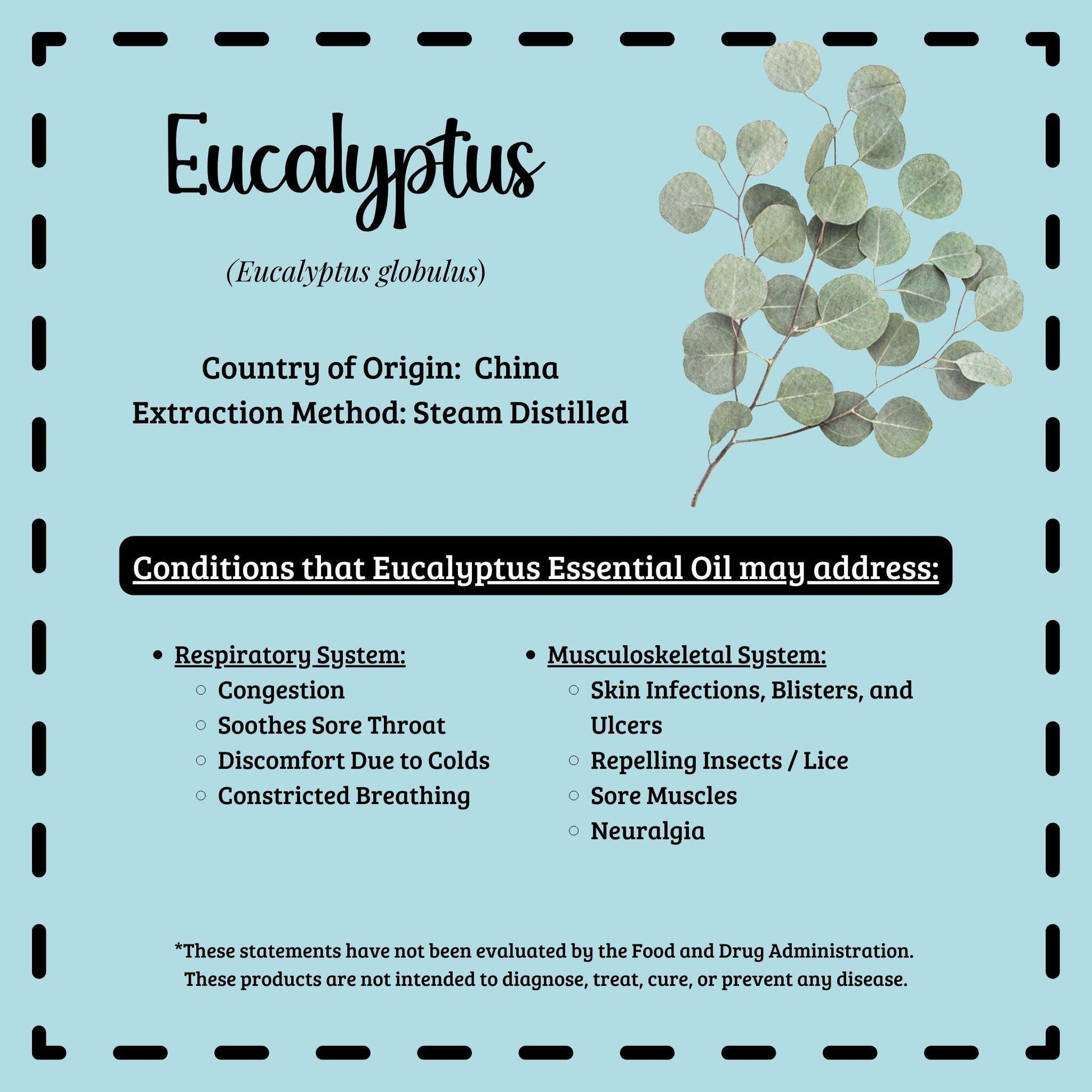 Respiratory Benefits of Eucalyptus Organic Essential Oil by Diffuse It