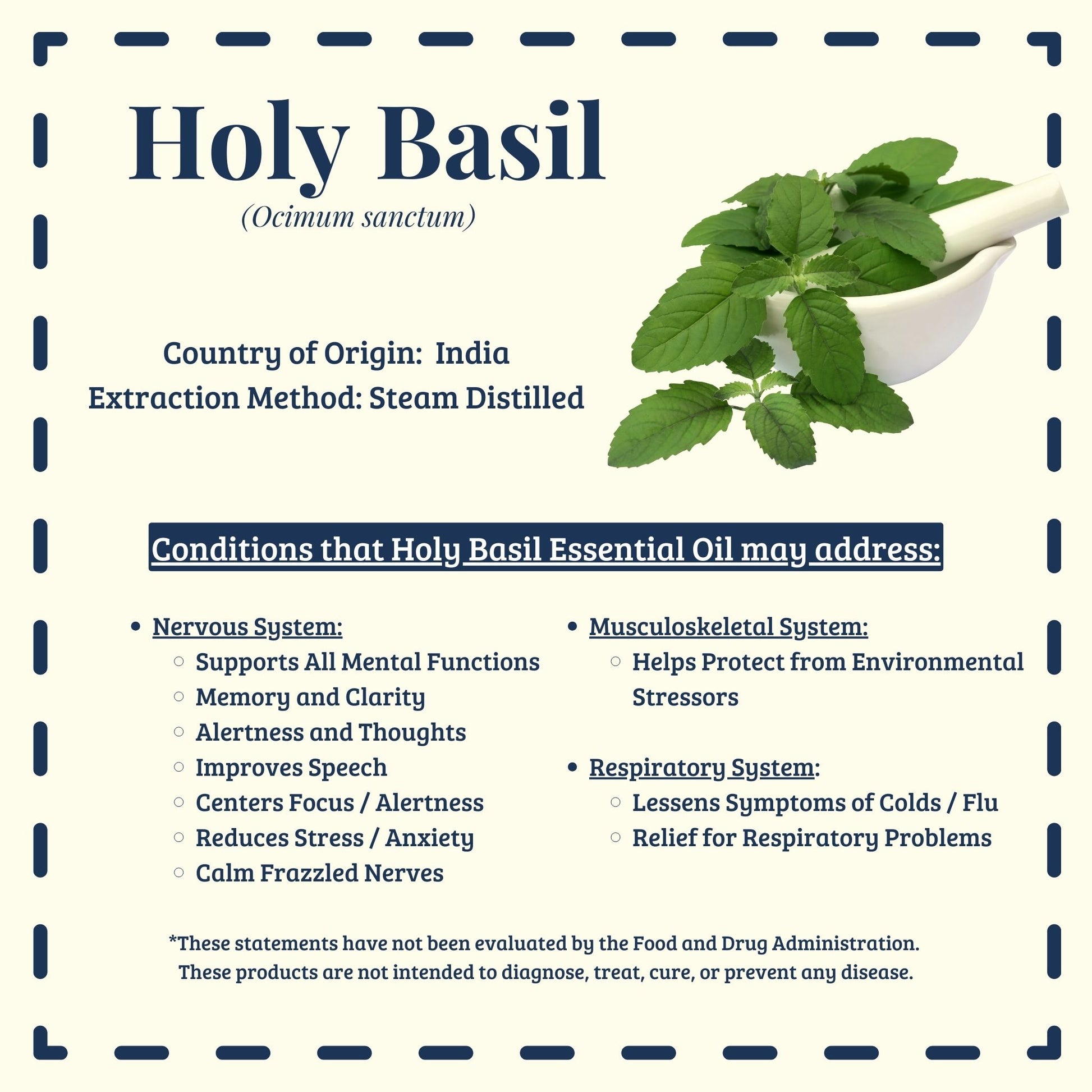 Holy Basil essential oil traditional mental and respiratory uses – Diffuse It® Essential for Wellness