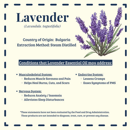 Lavender essential oil traditional calming and topical uses – Diffuse It® by Essential for Wellness