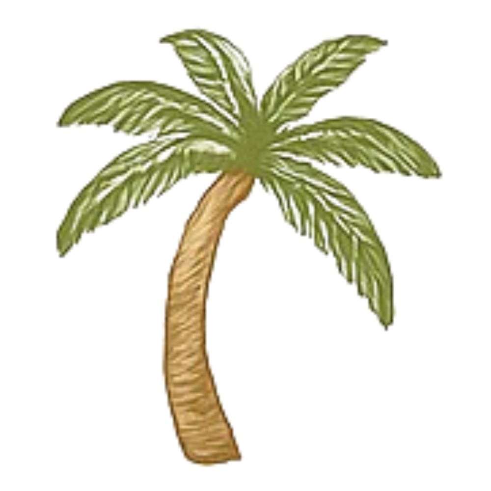 Hand-sketched palm tree showing that essential oils from Essential for Wellness Organic Essential Oils ship within 48 hours from Naples, FL
