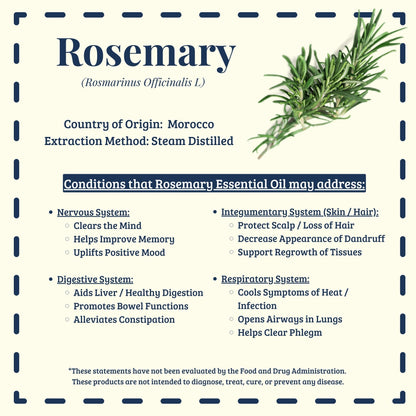 Rosemary essential oil traditional cognitive and hair support uses – Diffuse It® by Essential for Wellness