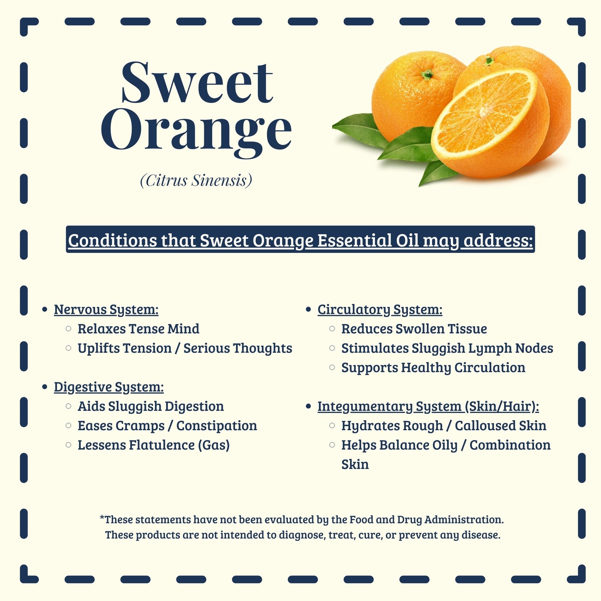 Organic Sweet Orange Essential Oil Traditional Uses - Diffuse It® by Essential for Wellness