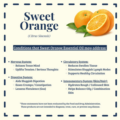 Organic Sweet Orange Essential Oil Traditional Uses - Diffuse It® by Essential for Wellness