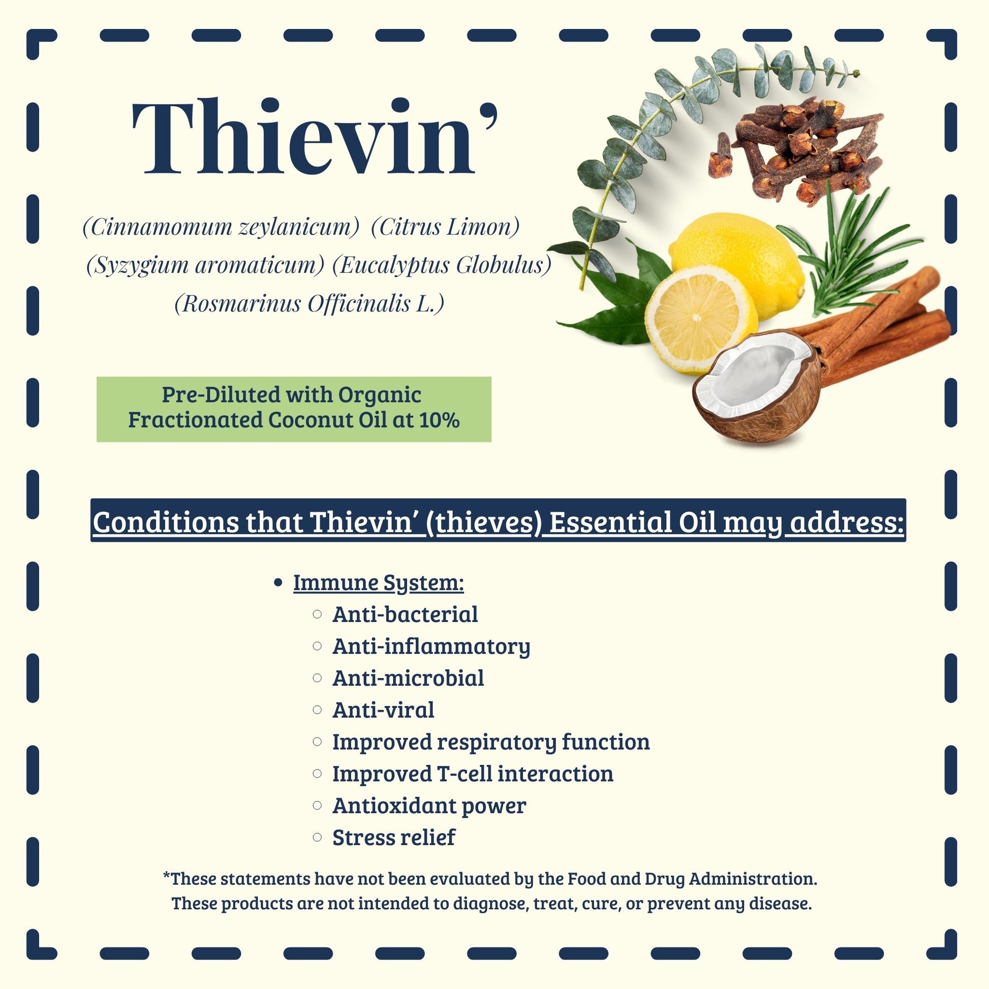 Thievin' essential oil blend traditional uses and immune support history – Ready to Roll® by Essential for Wellness