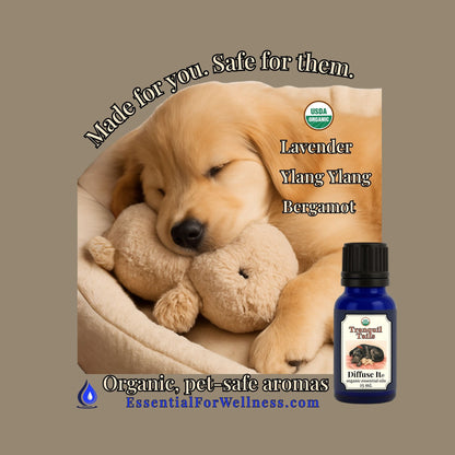 Dog with a teddy bear and a bottle of essential oil on a brown background