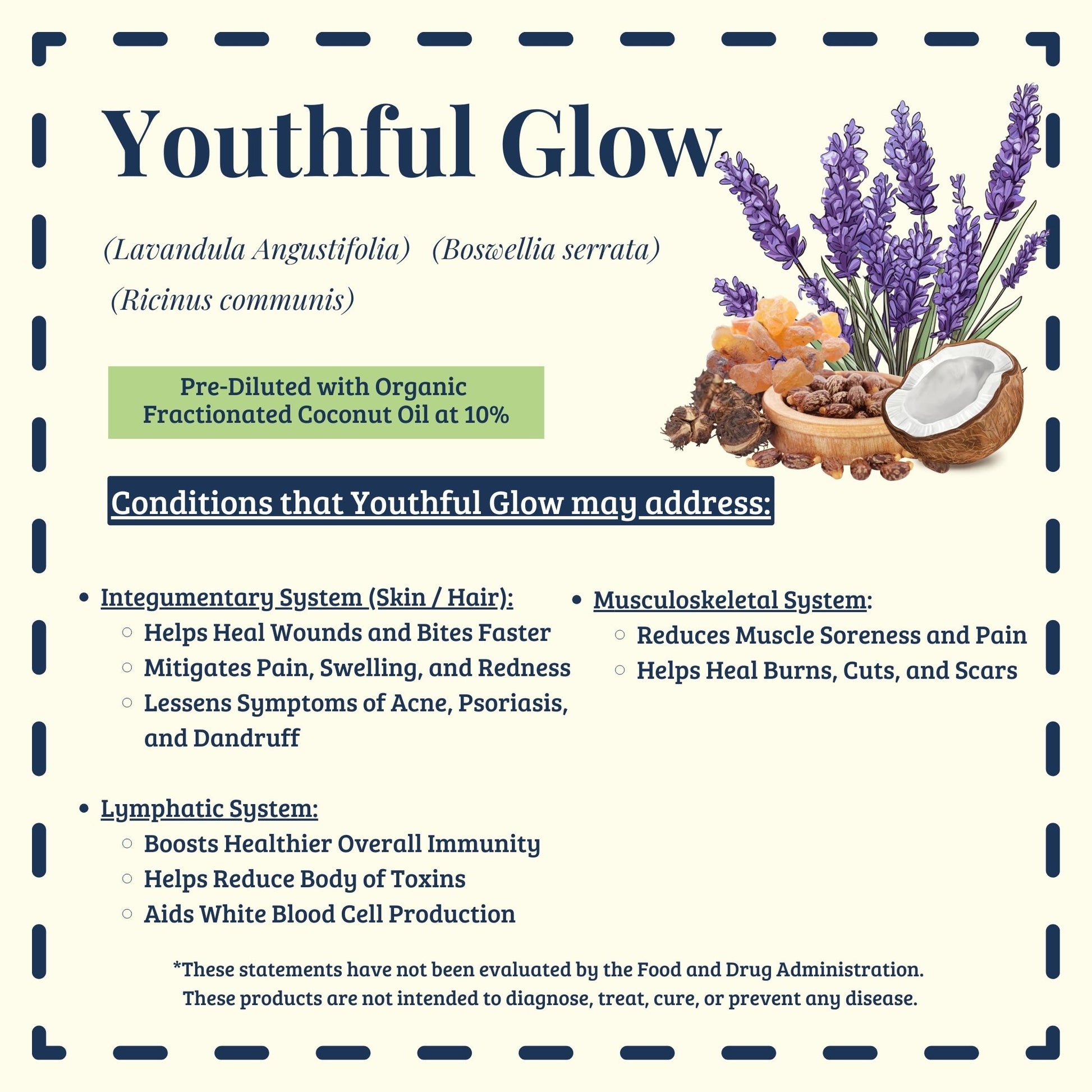 Youthful Glow essential oil blend traditional uses for skin rejuvenation – Ready to Roll® by Essential for Wellness